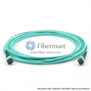 24 Fibers OM4 Multimode 24 Strands MPO Trunk Cable 3.0mm LSZH/Riser