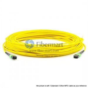 72 Fibers Single-Mode 24 Strands MPO Trunk Cable 3.0mm LSZH/Riser