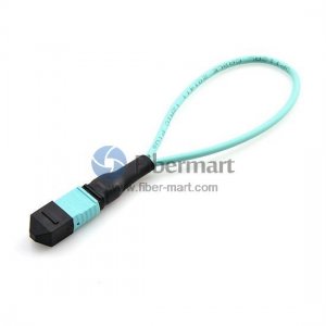 40GBASE QSFP MTP/MPO 12 Fiber OM3 Female Loopback Cable