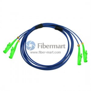 E2000/APC to E2000/APC Duplex Singlemode 9/125 Armored Patch Cable