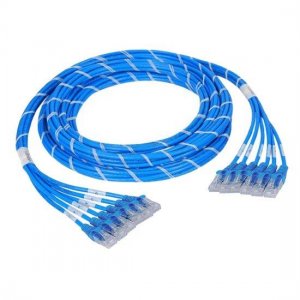 10m (32.8ft) 24 Plug to 24 Plug CAT5e Unshielded LSZH(Blue) PreTerminated Copper Trunk Cable