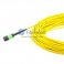 8芯单模 12芯每股 MTP 主干光纤跳线 3.0mm LSZH/Riser