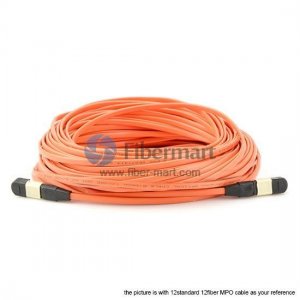 144 Fibers Multimode OM1 12 Strands MPO Trunk Cable 3.0mm LSZH/Riser