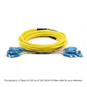 48 Fibers SC to SC 9/125 Single Mode MultiFiber PreTerminated Breakout Trunk Cable