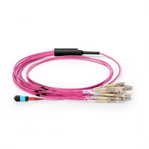 24 Fibers OM4 Multimode 12 Strands MPO Harness Cable 3.0mm LSZH/Riser