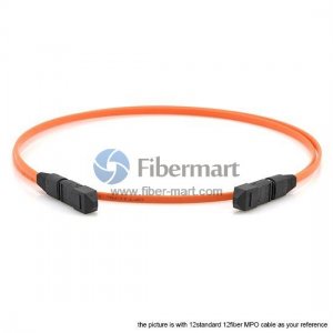 144 Fibers Multimode OM2 12 Strands MTP Trunk Cable 3.0mm LSZH/Riser