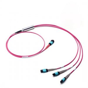 1M MTP Female to 3x MTP Female 24 Fibers OM4 50/125 Multimode Conversion Cable, Polarity B, LSZH Bunch