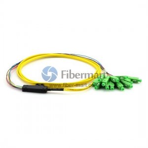 12-Fiber 9/125 SM Ribbon Fan-out LC/SC/ST/FC Pigtail with 0.9mm/2.0mm Breakout