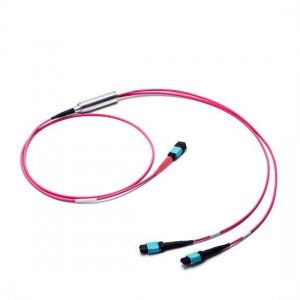 1M MTP Female to 2x MTP Female 24 Fibers OM4 50/125 Multimode Conversion Cable, Polarity B, LSZH Bunch
