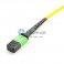 8芯单模 12芯每股 MTP 主干光纤跳线 3.0mm LSZH/Riser