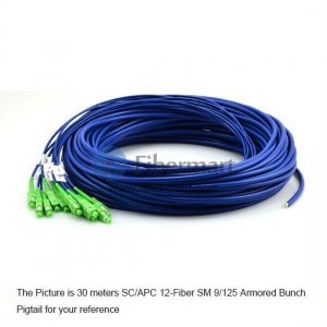 12-fiber 3.0mm 9/125 Single-mode LC/SC/ST/FC Armored Bunch Pigtail
