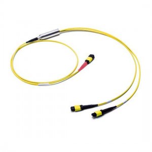 30M MTP Female to 2x MTP Female 24 Fibers OS2 9/125 Single Mode Conversion Cable, Polarity B, LSZH Bunch
