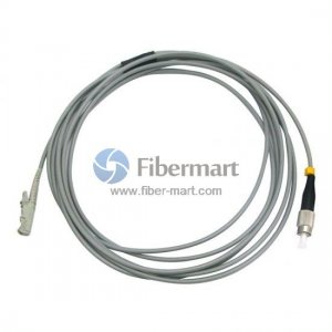 FC/UPC to E2000/UPC Simplex Multimode 62.5/125 OM1 Armored Patch Cable