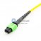 8芯单模 12芯每股 MTP 主干光纤跳线 3.0mm LSZH/Riser
