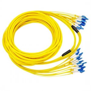 30M LC UPC to LC UPC 9/125 Single Mode 12 Fiber MultiFiber PreTerminated Cable 2.0mm PVC Jacket