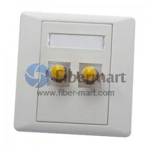 2-Port ST Fiber Optic Wall Plate Outlet