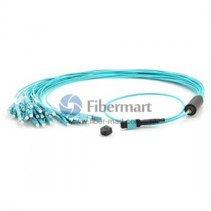 24 Fibers OM3 Multimode 12 Strands MPO Harness Cable 3.0mm LSZH/Riser