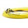 24 芯单模 12芯每股 MTP 线束光纤跳线 3.0mm LSZH/Riser