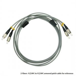 Custom E2000 UPC to E2000 UPC 6 Fibers OM1/OM2 Multimode Armored Breakout Cable 3.0mm Legs