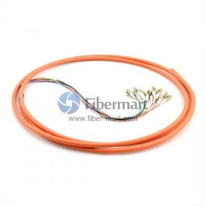 12-fiber 0.9mm 62.5/125 OM1 Multimode LC/SC/ST/FC Bunch Pigtail 12-fiber 0.9mm 62.5/125 OM1 Multimode LC/SC/ST/FC Bunch Pigtail