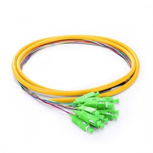 1.5M 12 Fibers SC/APC 9/125 Singlemode Bunch Fiber Optic Pigtail 0.9mm PVC Jacket