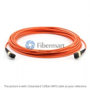 8 Fibers Multimode OM1 12 Strands MPO Trunk Cable 3.0mm LSZH/Riser