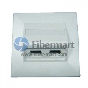 2-Port SC Bevel Fiber Optic Wall Plate Outlet