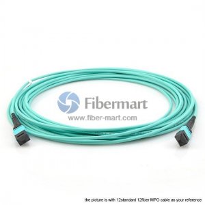 12 Strands MTP Trunk Cable 3.0mm 12 Fibers OM4 Multimode LSZH/Riser