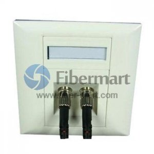 2-Port ST Bevel Fiber Optic Wall Plate Outlet