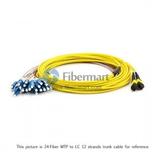 24 Fibers Single-Mode 24 Strands MTP Harness Cable 3.0mm LSZH/Riser