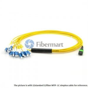144 Fibers Singlemode 24 Strands MTP Harness Cable 3.0mm LSZH/Riser