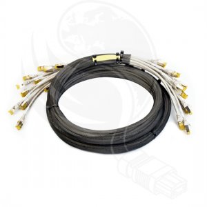 1m 12 Plug to 12 Plug CAT5e Unshielded PreTerminated Copper Trunk Cable