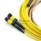 24 芯单模 12芯每股 MTP 线束光纤跳线 3.0mm LSZH/Riser
