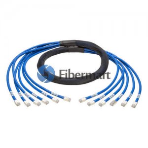 3m (9.8ft) 12 Plug to 12 Plug Cat 6 Unshielded PVC Skinny/Slim PreTerminated Trunk Cable