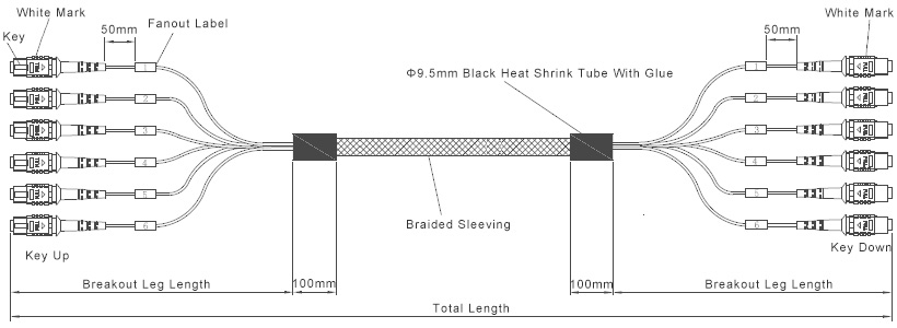 Fiber-MART.Com MTP-MTP-sample.jpg